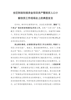 全区财政衔接资金项目资产暨脱贫人口小额信贷工作现场会上的典型发言（20220928）.docx