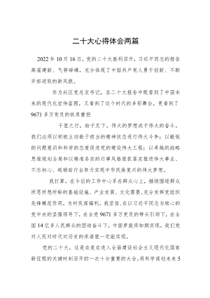 二十大心得体会2篇.docx