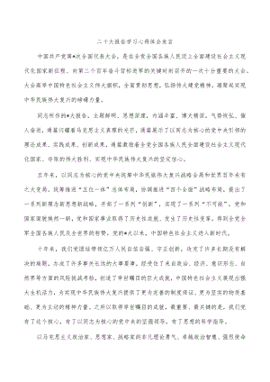 二十大报告学习心得体会发言.docx