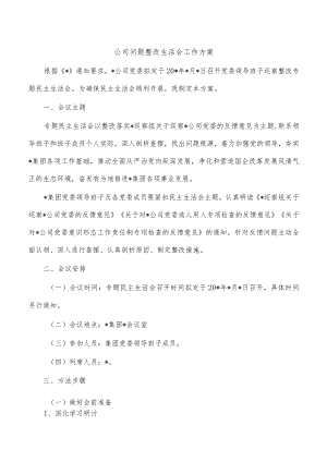 公司问题整改生活会工作方案.docx