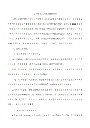 公司安全生产培训宣传总结.docx