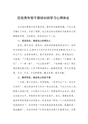 区优秀年轻干部培训班学习心得体会五篇合集.docx