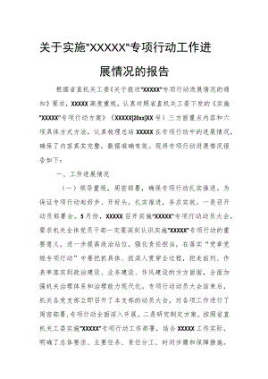 关于实施“XXXXX”专项行动工作进展情况的报告.docx