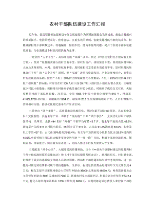 农村干部队伍建设工作汇报.docx