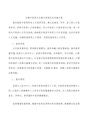 加强中医药行业重点领域攻关实施方案.docx