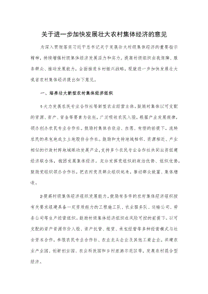 关于进一步加快发展壮大农村集体经济的意见.docx
