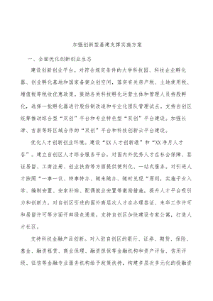加强创新型基建支撑实施方案.docx