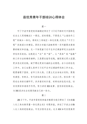 县优秀青年干部培训心得体会四篇.docx