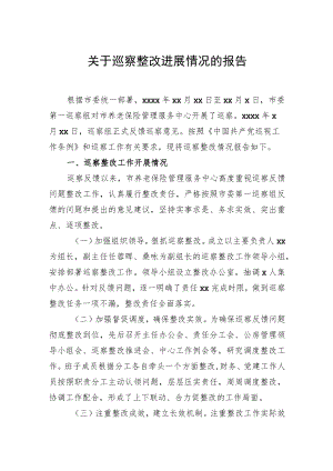 关于巡察整改进展情况的报告.docx