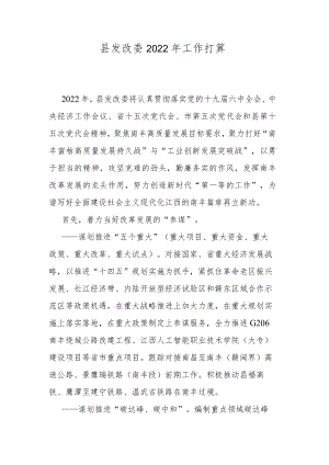 县发改委2022年工作打算.docx