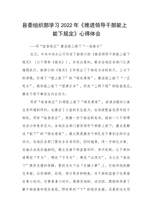 县委组织部学习2022年《推进领导干部能上能下规定》心得体会.docx