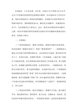 县关于乡村振兴指导员人才建设的报告.docx