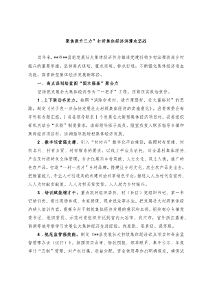 发展壮大集体经济经验交流材料.docx