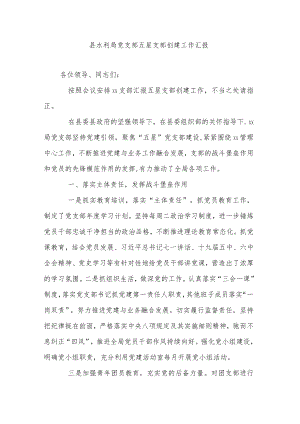 县水利局党支部五星支部创建工作汇报.docx