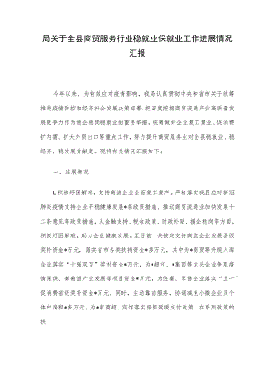 局关于全县商贸服务行业稳就业保就业工作进展情况汇报.docx