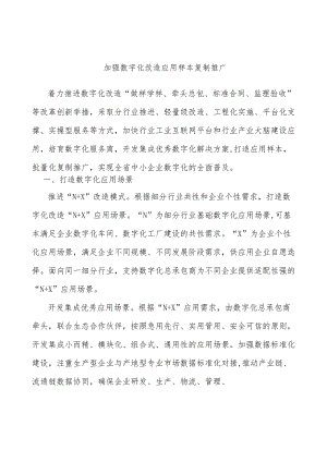 加强数字化改造应用样本复制推广.docx