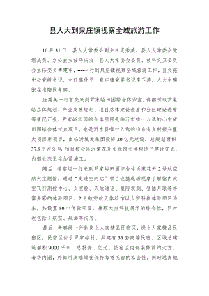 县人大到泉庄镇视察全域旅游工作.docx