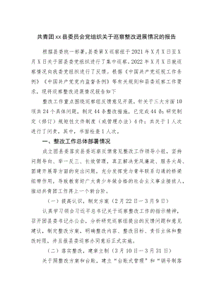 巡察整改进展情况的报告.docx