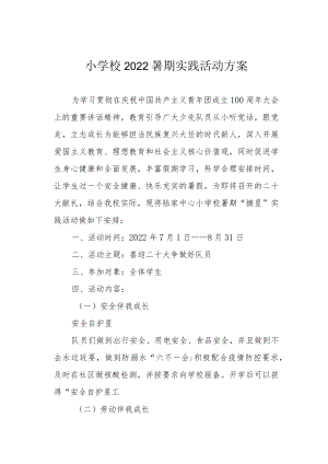 小学校2022暑期实践活动方案.docx