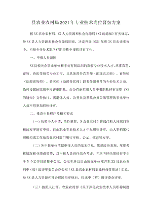 县农业农村局专业技术岗位晋级方案.docx