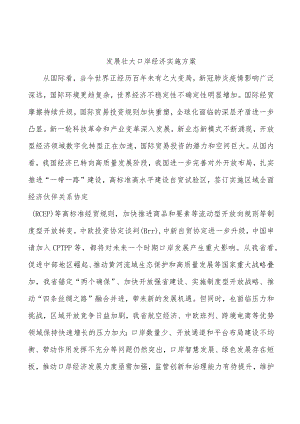 发展壮大口岸经济实施方案.docx
