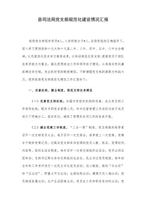 县司法局党支部规范化建设情况汇报.docx
