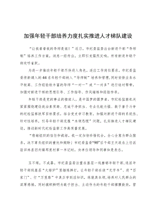 加强轻干部培养力度+扎实推进人才梯队建设.docx