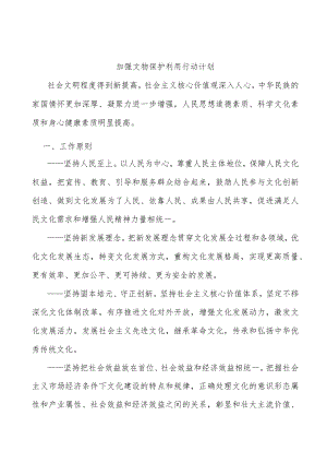 加强文物保护利用行动计划.docx