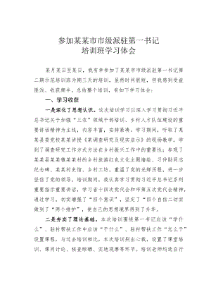 参加某某市市级派驻第一书记培训班学习体会.docx