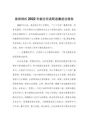 县供销社2022副主任述职述廉述法报告.docx