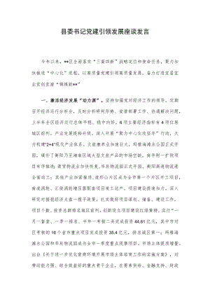 县委书记党建引领发展座谈发言.docx