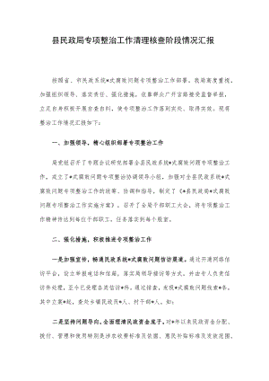 县民政局专项整治工作清理核查阶段情况汇报.docx