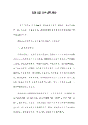 县法院副院长述职报告.docx