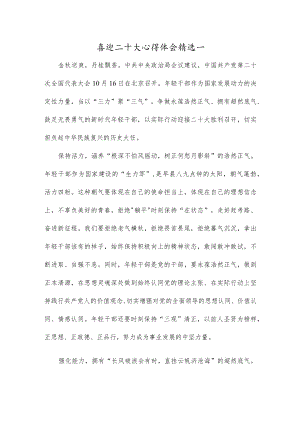 喜迎二十大心得体会精选一.docx