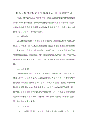 县经营性自建房安全专项整治百日行动实施方案.docx