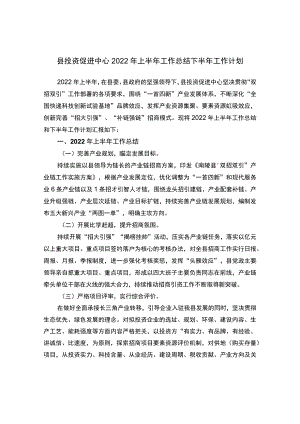 县投资促进中心2022上半工作总结下半工作计划.docx