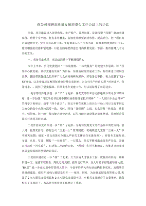 在公司推进高质量发展迎盛会工作会议上的讲话.docx