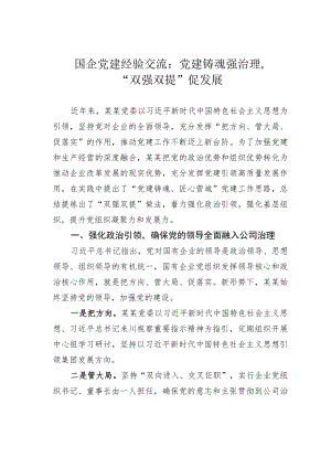 国企党建经验交流：党建铸魂强治理“双强双提”促发展.docx