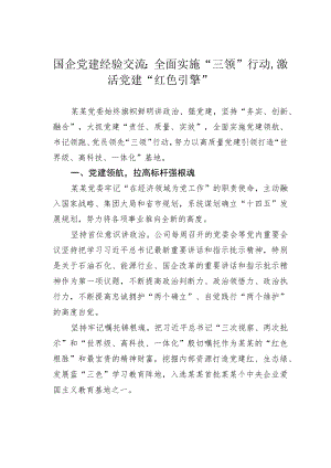 国企党建经验交流：全面实施“三领”行动激活党建“红色引擎”.docx