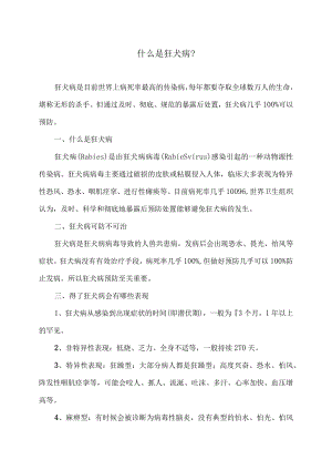 什么是狂犬病？（2022年）.docx