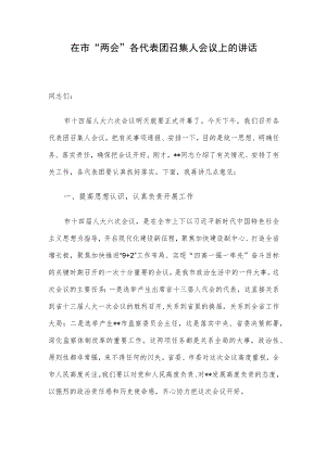 在市“两会”各代表团召集人会议上的讲话.docx