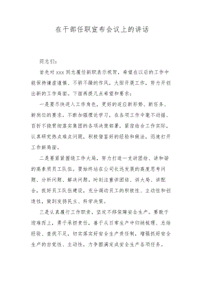 在干部任职宣布会议上的讲话.docx