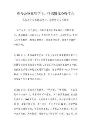 在办公室跟班学习、挂职锻炼心得体会.docx