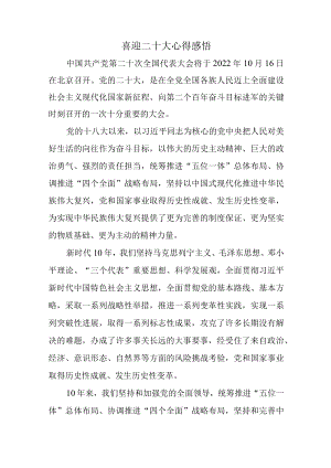 喜迎二十大有感.docx
