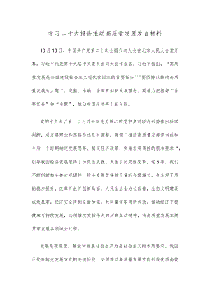 学习二十大报告推动高质量发展发言材料.docx