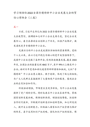 学习领悟给 2022 全国专精特新中小企业发展大会的贺信心得体会（二篇）.docx