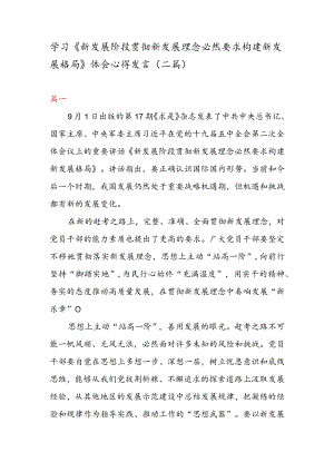 学习《新发展阶段贯彻新发展理念必然要求构建新发展格局》 体会心得发言（二篇）.docx