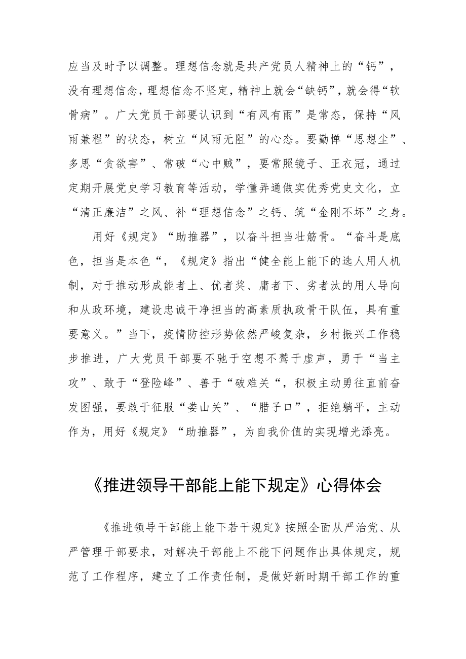 学习《推进领导干部能上能下规定》心得体会六篇模板.docx_第2页