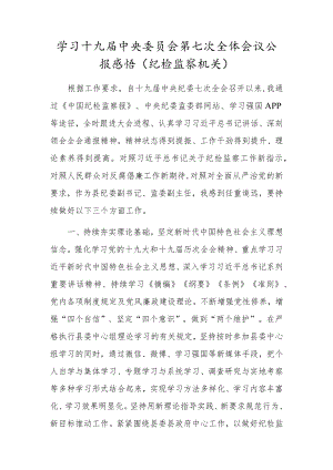 学习十九届中央委员会第七次全体会议公报感悟（纪检监察机关）.docx