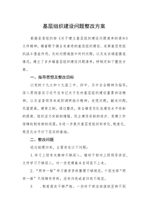 基层组织建设问题整改方案.docx